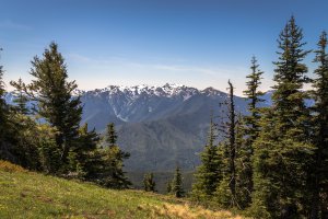 Photo taken at Olympic National Park, Pacific Northwest Trail, Port Angeles, WA 98363, USA with Canon EOS 6D
