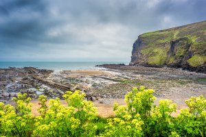 Photo taken at South West Coast Path, Bude, Cornwall EX23 0LH, UK with SONY ILCE-7