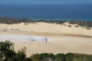 Photo taken at Great Sandy National Park, Cornwells Break Road, Fraser Island QLD 4581, Australia with NIKON D800E