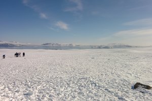 Photo taken at Þingvallavegur, Iceland with LGE Nexus 5