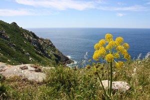 Photo taken at Galician Atlantic Islands Maritime-Terrestrial National Park, Illas Cíes, Barrio Illas Cies, 3, Vigo, Pontevedra, Spain with Canon EOS DIGITAL REBEL XS