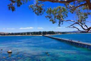 Photo taken at Granite Island, Victor Harbor SA 5211, Australia with Apple iPhone 6 Plus