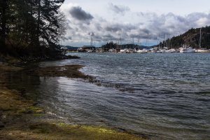 Photo taken at Deer Harbor Road, Eastsound, WA 98245, USA with Canon EOS 6D