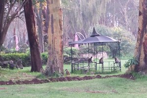Photo taken at Moi South Lake Road, Kenya with SAMSUNG SPH-L720