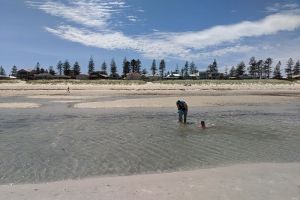 Photo taken at Grange Beach, Esplanade, Henley Beach, City of Charles Sturt, South Australia, 5022, Australia with Google Pixel 2