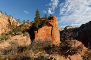 Photo taken at Zion National Park, Angels Landing Trail, Hurricane, UT 84737, USA with Canon EOS 5D Mark III