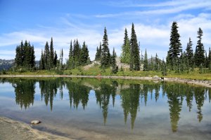 Photo taken at Pacific Crest Trail, Naches, WA 98937, USA with Canon EOS 6D