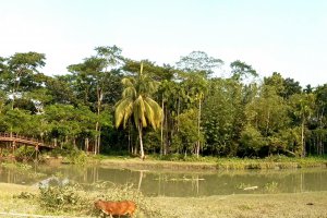 Photo taken at Nalchhiti 8420, Bangladesh with LGE Nexus 4