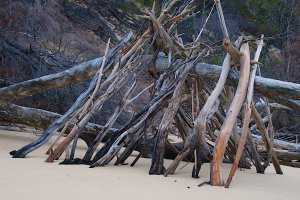 Photo taken at Great Sandy National Park, LOT 7 Esplanade, Fraser Island QLD 4581, Australia with NIKON D300