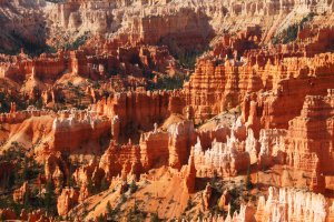 Photo taken at Bryce Canyon National Park, Queens Garden Trail, Bryce, UT 84764, USA with SONY SLT-A77V
