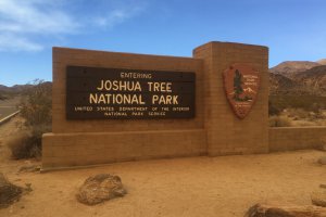 Photo taken at Joshua Tree National Park, Park Boulevard, Twentynine Palms, CA 92277, USA with Apple iPhone 6