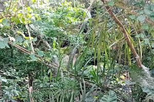 Photo taken at Calle 26, Zapatoca, Metropolitana, Santander, RAP Gran Santander, 604069, Colombia with Samsung Galaxy A14