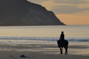 Photo taken at 145 Wairere Road, Wainui, Gisborne 4010, New Zealand with Panasonic DMC-ZS20