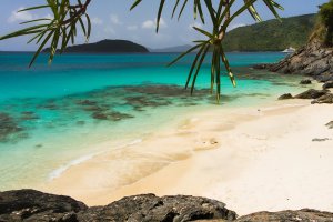 Photo taken at Virgin Islands National Park, North Shore Road, St. John 00830, USVI with Canon EOS 30D