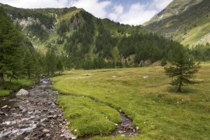 Photo taken at Val Sambuco, 6696 Lavizzara, Switzerland with Canon EOS 7D