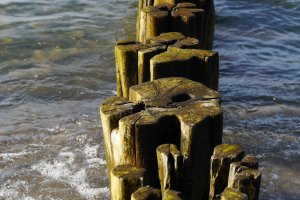 Boddenlandschaft, Nr. 2 a, 18374 Zingst, Germany