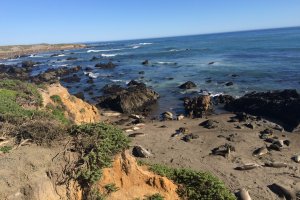 Cabrillo Hwy, San Simeon, CA 93452, USA