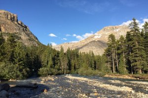 Icefields Pkwy, Improvement District No. 9, AB T0L, Canada