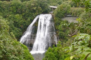 Photo taken at Te Urewera National Park Waikaremoana Road, Urewera National Park 4195, New Zealand with Panasonic DMC-ZS20