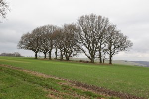 S Downs Way, United Kingdom