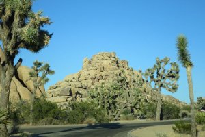 Photo taken at Quail Springs Spur, Joshua Tree, CA 92252, USA with Canon PowerShot S120