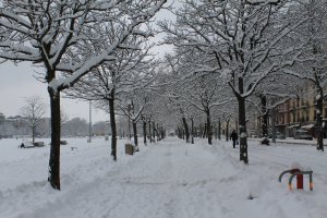 Avenue Henri-Dunant 11, 1205 Genève, Switzerland