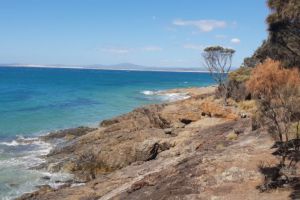 Granite Point Conservation Area, Richard Street, Bridport, Tasmania, Australia