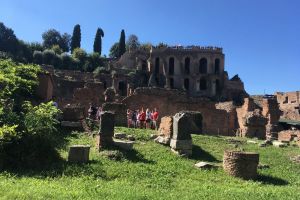 Photo taken at Roman Forum, Via di San Teodoro, Rione X Campitelli, Municipio Roma I, Rome, Roma Capitale, Lazio, 00184, Italy with Apple iPhone SE