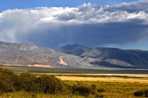 Tsetseg Road, Mongolia