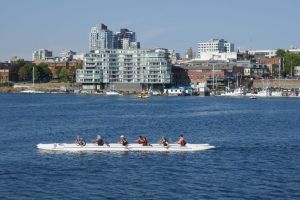 Wharf Street Marina, 1104, Wharf Street, Chinatown, Downtown, Victoria, Capital Regional District, British Columbia, V8W 1T7, Canada