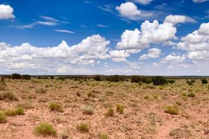 4588, San Carlos Road, Navajo County, Arizona, 85937, USA