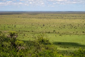 Photo taken at Nkumbe View Road, Kruger Park, South Africa with Canon DIGITAL IXUS 80 IS