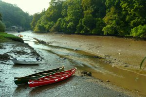 Photo taken at 4 The Quay, Tuckenhay, Totnes, Devon TQ9 7EQ, UK with Panasonic DMC-TZ10