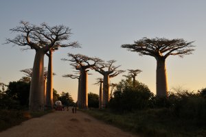 Photo taken at 8, Madagascar with NIKON D300S