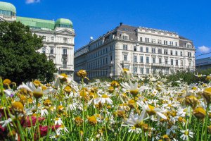 Universitätsstraße 1536/8, 1090 Wien, Austria