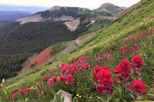 Photo taken at Colorado Trail, Durango, CO 81301, USA with Apple iPhone 7 Plus