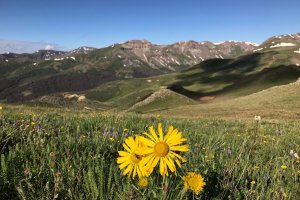 Continental Divide Trail, Creede, CO 81130, USA