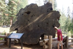 Photo taken at Sequoia National Park, Generals Highway, Sequoia National Park, CA 93262, USA with SONY SLT-A77V