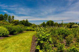 Photo taken at 621 W Dundee Rd, Northbrook, IL 60062, USA with Canon EOS 5D Mark III