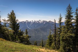 Olympic National Park, Pacific Northwest Trail, Port Angeles, WA 98363, USA