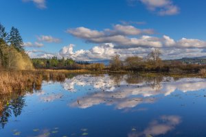 Photo taken at 2850 Spirit Lake Highway, Castle Rock, WA 98611, USA with Canon EOS REBEL T5i