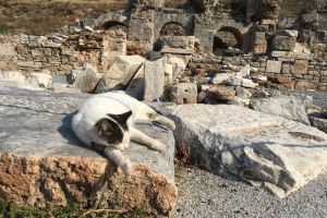 Photo taken at Thermes and Gymnasium, Βasilica Stoa, Selçuk, Atatürk Mahallesi, Selçuk, Izmir, Aegean Region, 35920, Turkey with Apple iPhone SE