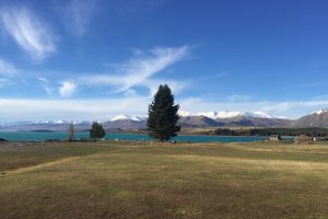 State Highway, Lake Tekapo 7999, New Zealand