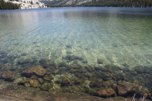 Yosemite National Park, Tioga Road, California, USA