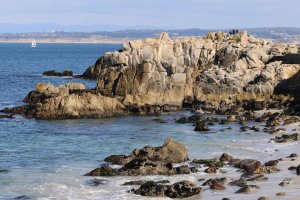 Photo taken at 662-698 Ocean View Blvd, Pacific Grove, CA 93950, USA with Canon EOS 7D Mark II