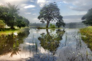 Puttalam-Anuradhapura-Trincomalee Highway, Sri Lanka