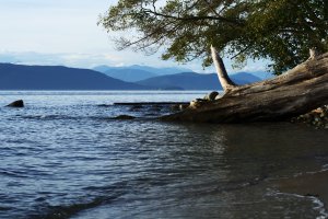 Photo taken at Foreshore Trail, Vancouver, BC V6T 1A7, Canada with NIKON D5200