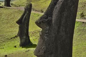 Moai, Ara O Te Rohi Rohi, Easter Island, Easter Island Province, Valparaiso Region, Chile