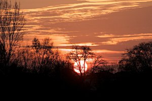 Photo taken at 10-140 Chemin de la Rhode, 82200 Moissac, France with NIKON D300