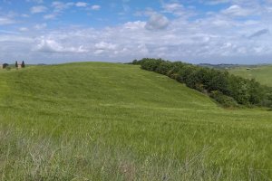 53027 San Quirico D'orcia SI, Italy